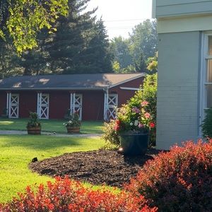 Meet your Posher, Alexandra